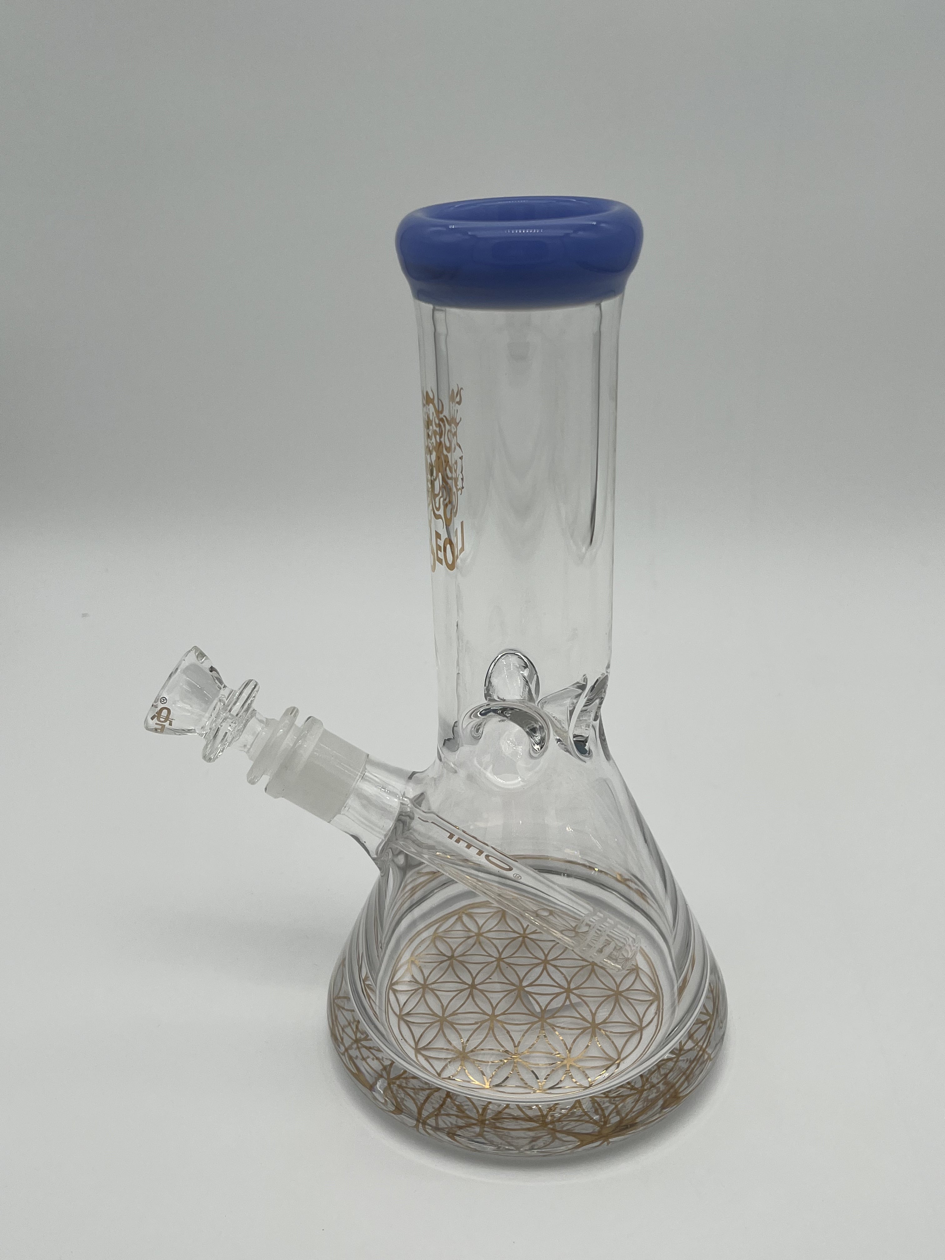 Leo 10" Waterpipe Super Wide