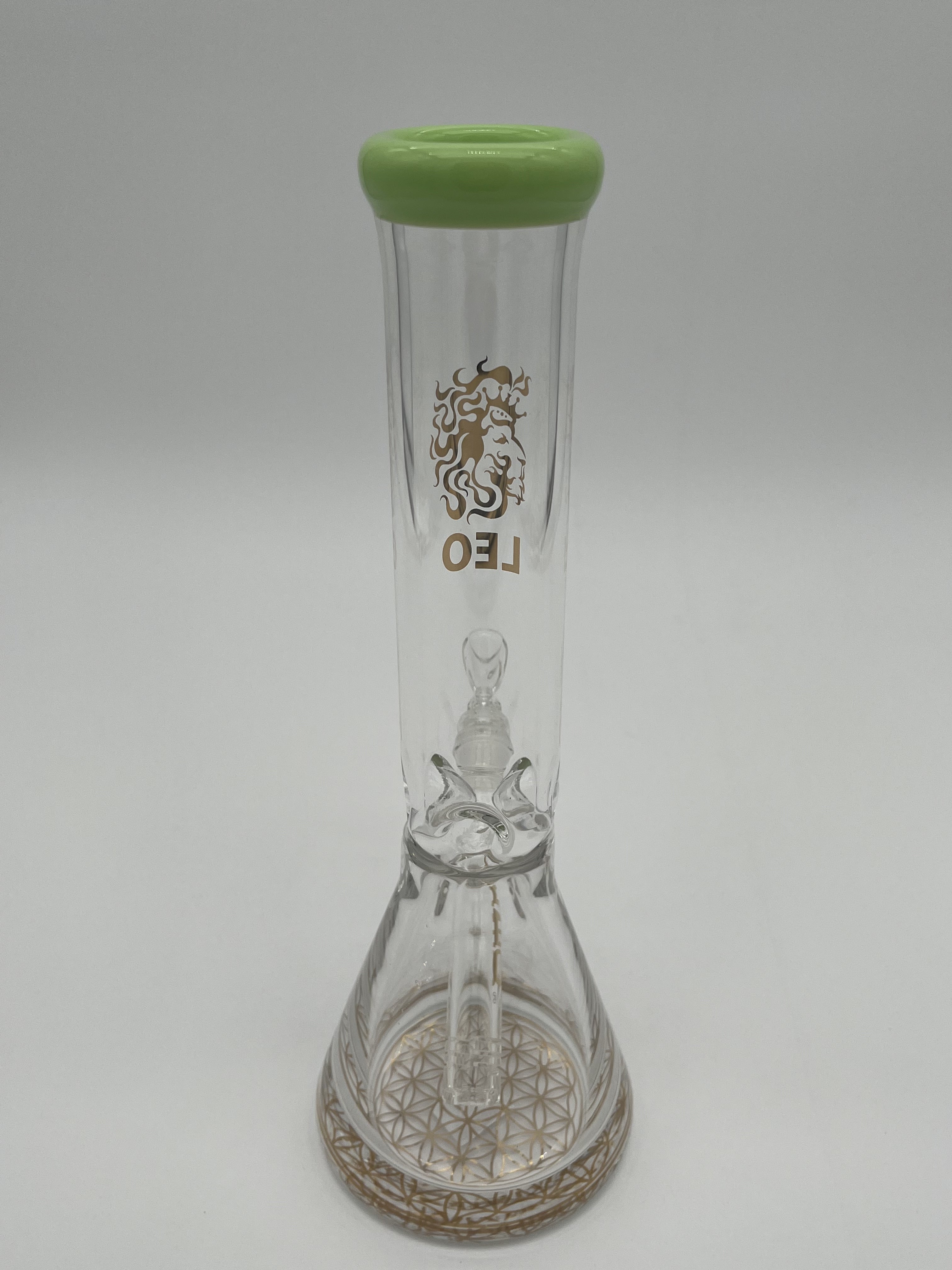 10" Skinny Leo Beaker Water Pipe