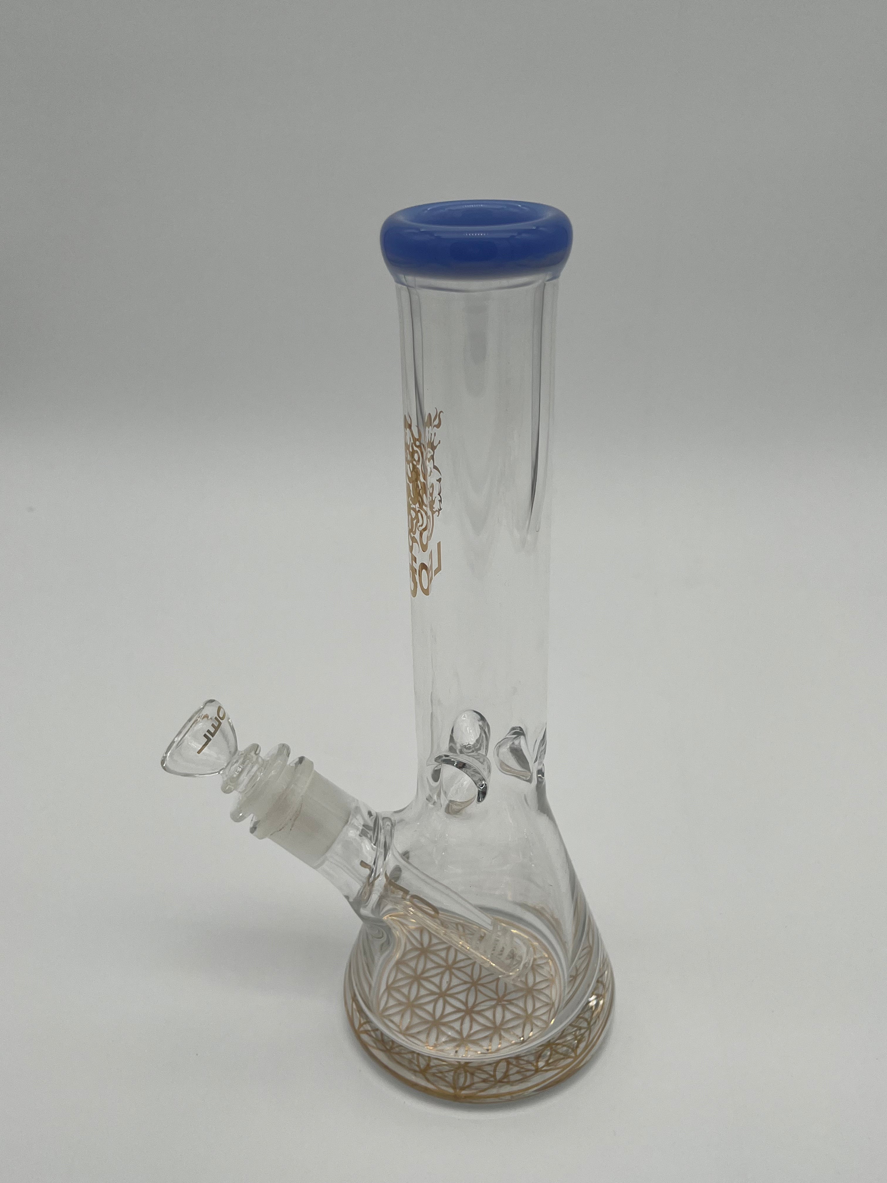 10" Skinny Leo Beaker Water Pipe