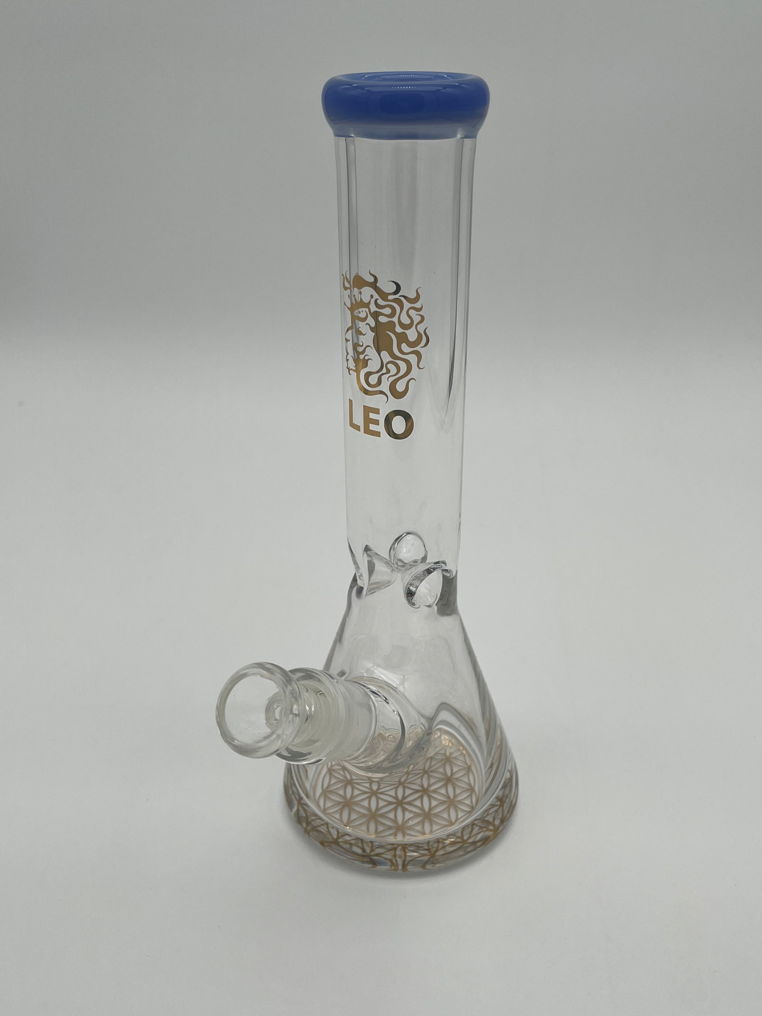 10" Skinny Leo Beaker Water Pipe